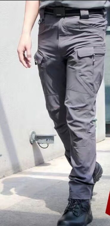 штаны мужская: Брюки L (EU 40), цвет - Серый