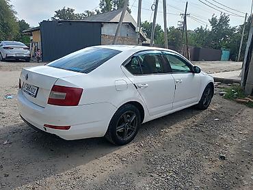 Skoda: Skoda Octavia: 2014 г., 1.6 л, Механика, Бензин, Седан — 5