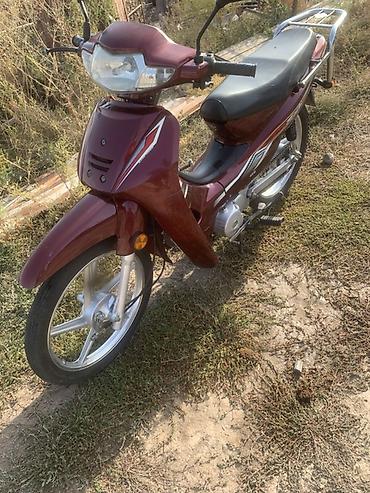 мопеды 50 кубов: Продам мопед-скутер класса Cub (тип Honda Super Cub/Delta) в бордовом — 2