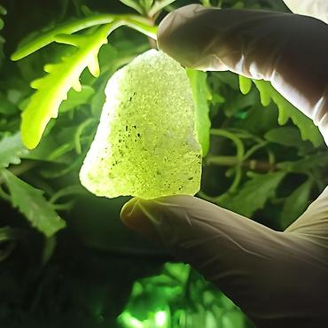 Dekorativ daşlar: Təbii Yaşıl Kristal Daş Satılır | Hədiyyə və Kolleksiya üçün Enerji — 7