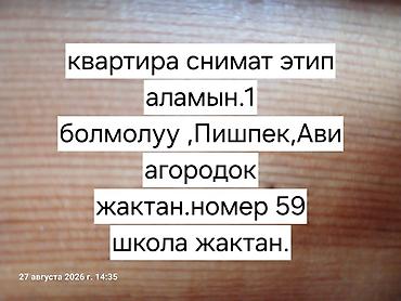 Сниму квартиру. Нужна 1‑комнатная в районах Болмолу, Пишпек или — 1