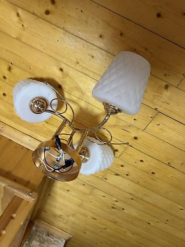 evkalipt ağacı haqqinda: Çılçıraq, 3 lampa, Metal — 2
