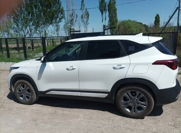 киа крассовер: Kia Seltos: 2020 г., 1.6 л, Робот, Дизель, Кроссовер