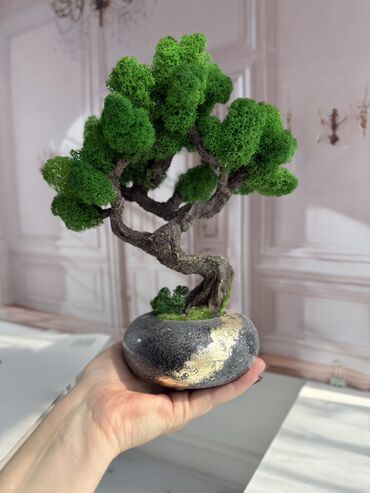 Декоративные цветы: Деревья-бонсай из натурального стабилизированного мха🌳 -это — 4
