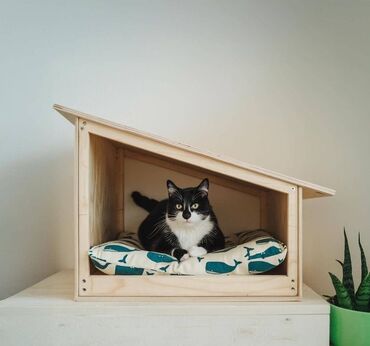 Yuvalar: Taxta it evi - Material: təbii ağac (taxta panellər), möhkəm karkas — 12