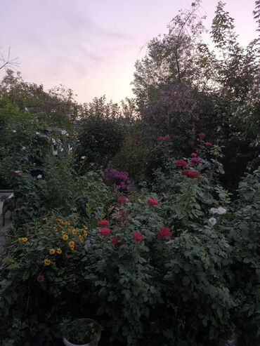 Продажа домов: Дом, 67 м², 4 комнаты, Собственник, Косметический ремонт — 25