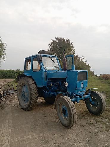 dizel muhərrik satilir: Traktor Belarus (MTZ) 1980, 1985 il, 80 at gücü, motor 5.8 l, İşlənmiş — 9