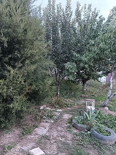 Продажа домов: 3 комнаты, 35 м², 4 соток, Бишкек, Мурас-Ордо ж/м Собственник — 5