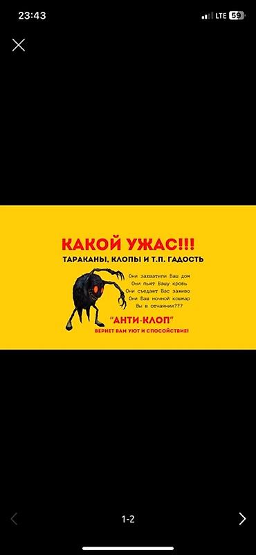калыб: Профессиональные услуги по дезинфекции, дезинсекции и дератизации — 3