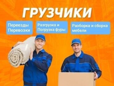 работа на сто: Жүк ташуучу. Тажрыйбалуу