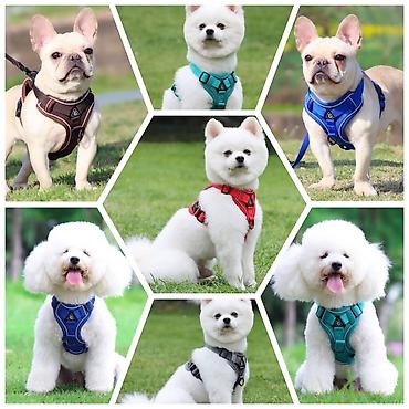 Зоотовары: Продаю игрушку/когтеточку/лежанку 3в1,с кошачей мятой,вашему котику — 26