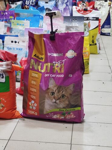bildircin yemi: Endirim. 10 kg 37 azn pişik yemi. Nömrə ilə əlaqə saxlayın