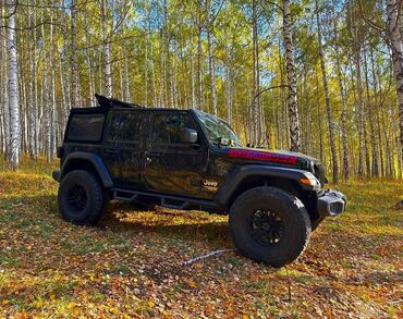 авто шины: Jeep Wrangler: 2018 г., 3.6 л, Автомат, Бензин, Внедорожник