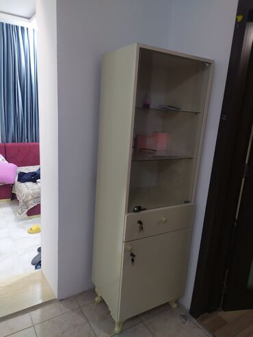 Digər salon, tibbi mebel: Şkaf