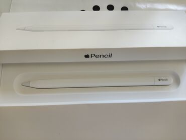 стилус на айпад: Электронный стилус Apple Pencil (USB-C) предназначен для точного и