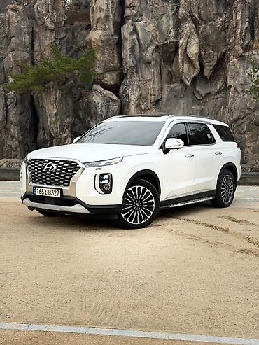 Hyundai: Hyundai Palisade: 2019 г., Автомат, Кроссовер — 1