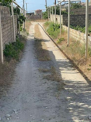 Torpaq: 12 sot, Tikinti, Mülkiyyətçi, Kupça (Çıxarış) — 7
