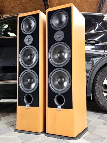 Zvučnici i stereo sistemi: Canton Ergo RC-L (Bukva) Snažne i zvučno veoma kvalitetne zvučne — 4