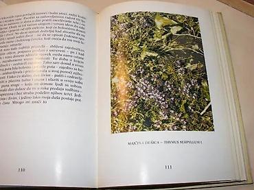 kad lisce pada 88: Biografija duše i tajne bilja Matija PaunovskiMirjana — 1