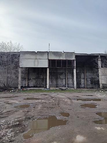 Продажа участков: 100 соток — 11