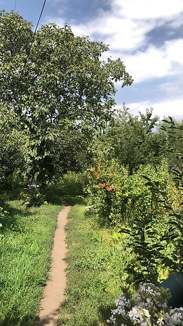 Дома: Продаётся одноэтажный дом с приусадебным участком. - Планировка — 5