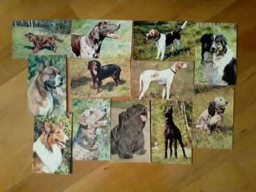 Açıqcalar: 2 штуки-1 манат.Советские открытки. Есть еще открытки, марки — 28