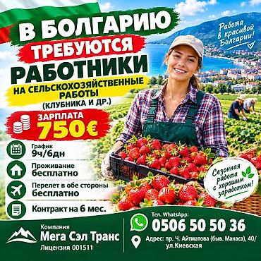 работа латвия: Работа - Болгария, Сельское хозяйство, Без опыта, Мед. страхование — 1