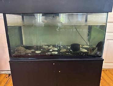 akvarium dirnaq: Akvarium-şkaf, Balıqlarla birlikdə, 200 l, Ünvandan götürmə — 1