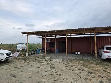 ağac tinglərinin satışı: ●Xaçmaz Rayonu Ağçay kəndi ●Sənədi Çıxarış- 3,15ha ●Yassı Şaftalı — 1