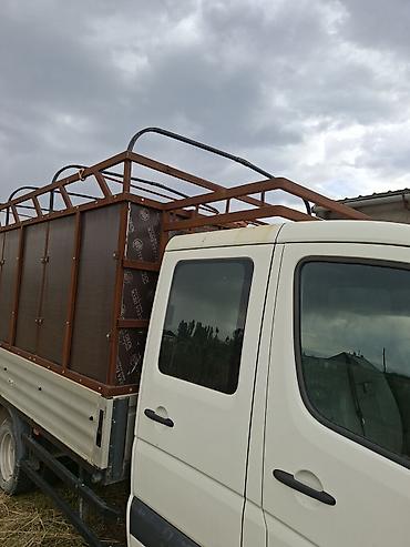 385 55: Volkswagen : 2006 г., 2.5 л, Механика, Дизель — 2