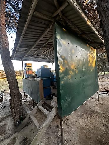 bilecerde evler: Kupça, çıxarışı var Meşə zolağına bitişik, geniş həyəti olan bağ evi — 9