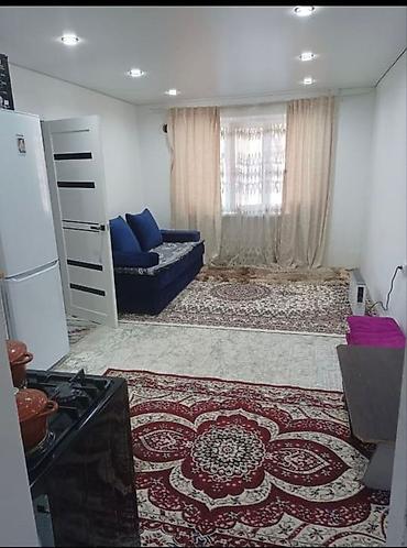 партер 2: 1 комната, 42 м², Индивидуалка, 1 этаж, Косметический ремонт — 3