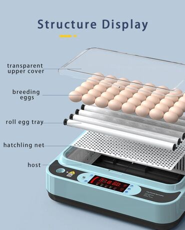 Oprema za kućne ljubimce: INKUBATOR Automatski nove generacije za 36 jaja 12v/220v — 15