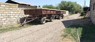 gəncə traktor: Kənd təsərrüfatı və yük daşıma üçün iki ədəd (traktor lapeti). Heç — 1