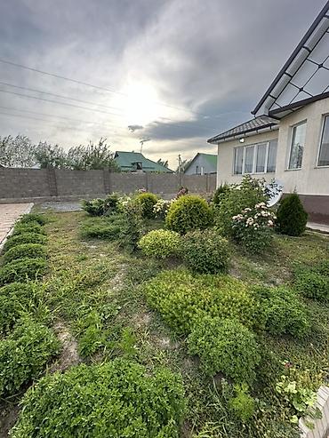 the level: 📍 В Сокулуке продаётся дом на участке 20 соток. 🏡Площадь дома — 5