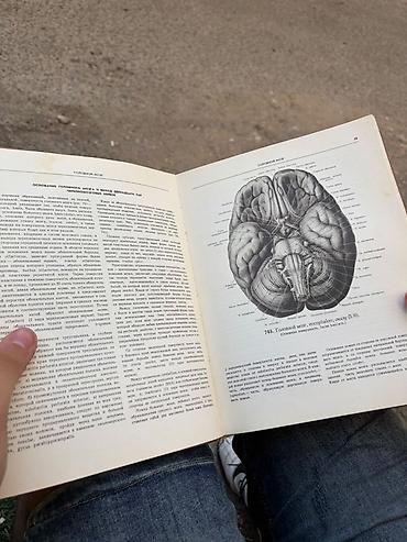 Kitablar və jurnallar: Məhsul: R. D. Sinelnikov – Atlas Anatomiı Çeloveka (İnsan — 4