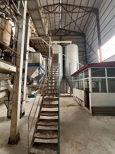 yevlaxda ferma satilir: Neftçala rayonu, Qaraqaşlı kəndi İnvestisiya üçün hazır, müasir — 9