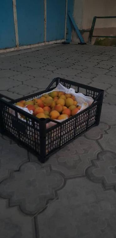 Ящики: Ящик, Новый — 8