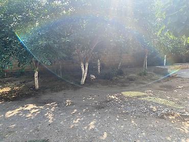 Torpaq sahələrinin satışı: 7 sot, Tikinti, Kupça (Çıxarış) — 9