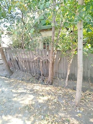 выход к реке: Жилой дом с участком в тени взрослых деревьев - Одноэтажный дом с — 2