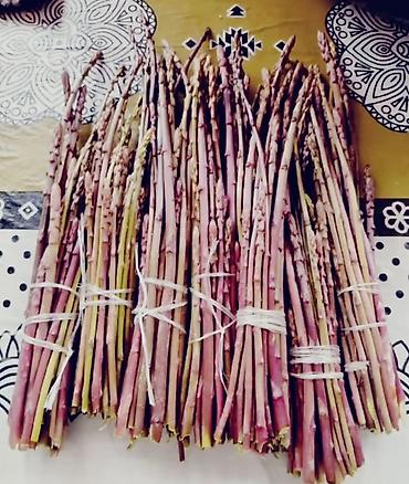 kənd məhsulları: Məhsul: Təbii yığılan yabanı quşqonmaz (asparagus) dəstələri Salam — 3