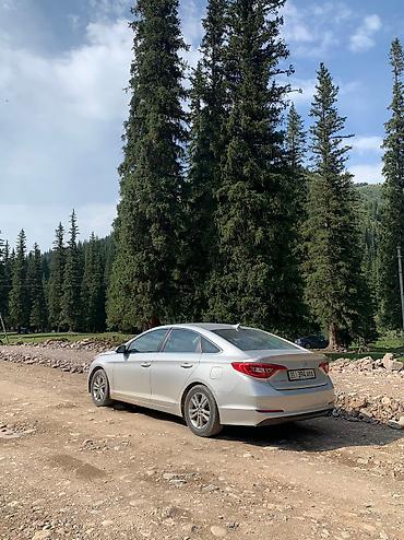 Продажа авто: Hyundai Sonata: 2017 г., 2.4 л, Автомат, Бензин, Седан — 8