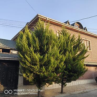 ucuz evler gence: Xaçmaz, 450 kv. m, 7 otaqlı, Kanalizasiya, Kombi, Qaz — 3