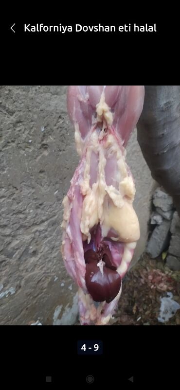 Ət: Salam temiz kaliforniya sortu🐇 dovsha eti isdeyen — 12