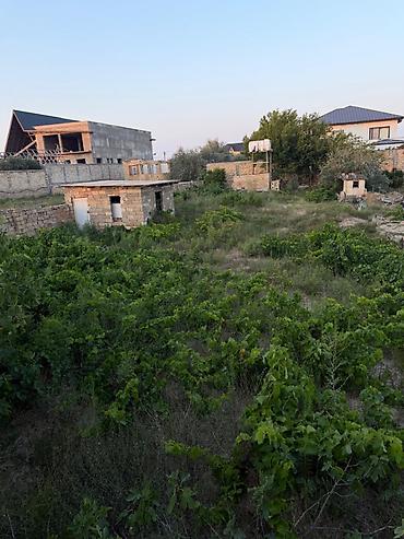 donər obyekti: 2 sot, Tikinti, Mülkiyyətçi, Kupça (Çıxarış) — 3