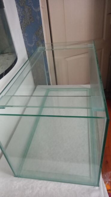 Akvariumlar: Salam isdənilğn ölçüdə akvarium və terarium yığıram isdəyən buyursun — 8