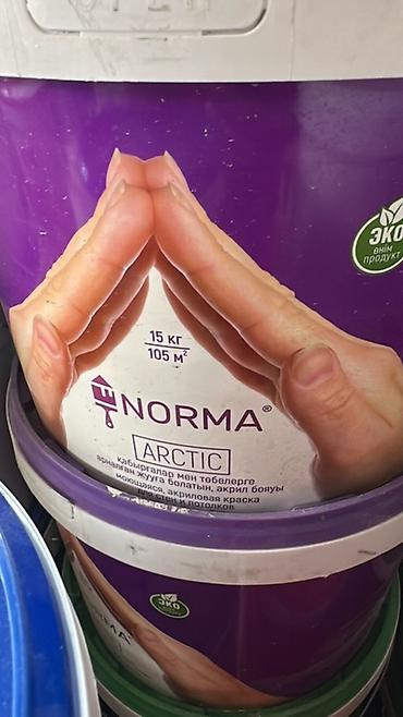Акриловая краска, Alina Paint Norma Arctic, Для внутренней работы, цвет - Белый, 15 кг, Матовая, Моющаяся