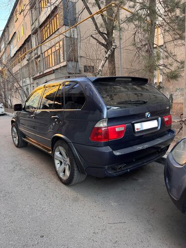 BMW: BMW X5: 2004 г., 4.4 л, Автомат, Бензин, Внедорожник — 7