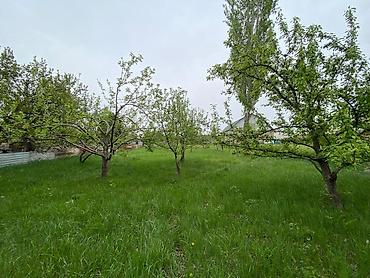 комм: 10 соток, Курулуш, Кызыл китеп — 9