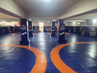 Другие тренажеры: Профессиональные спортивные маты для единоборств Назначение: - борьба — 29